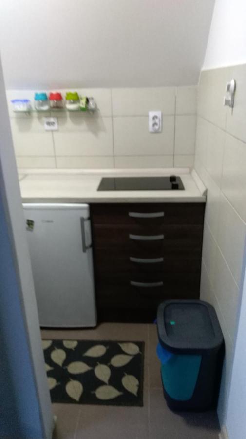 Apartman Vukasin Kopaonik Luaran gambar
